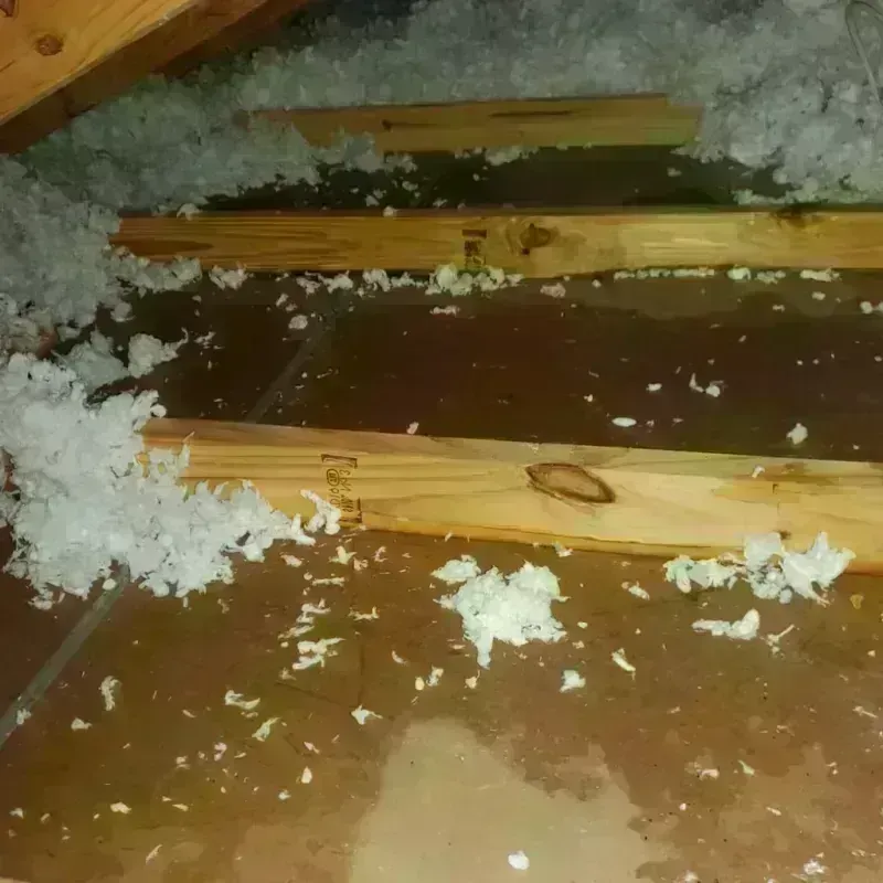 Attic Water Damage in Thermopolis, WY