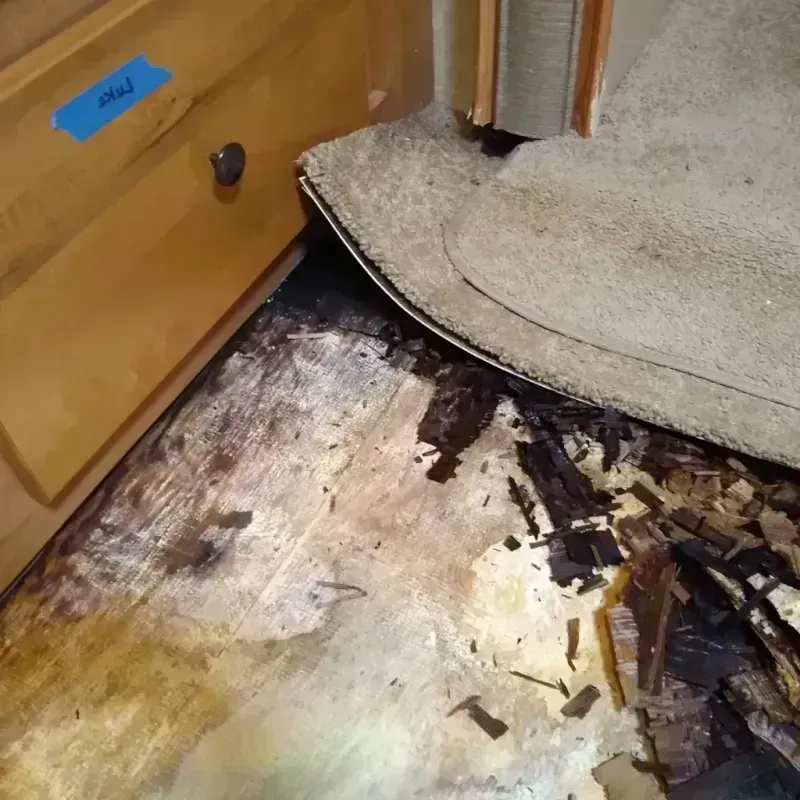 Wood Floor Water Damage in Thermopolis, WY